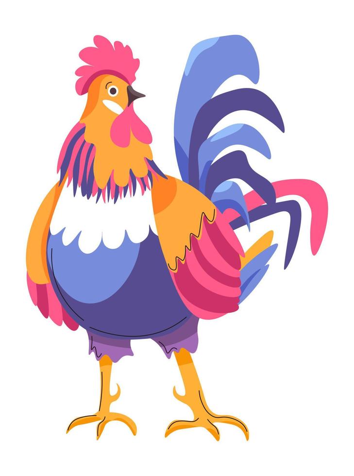 Peacock rooster avian animal from farm vector