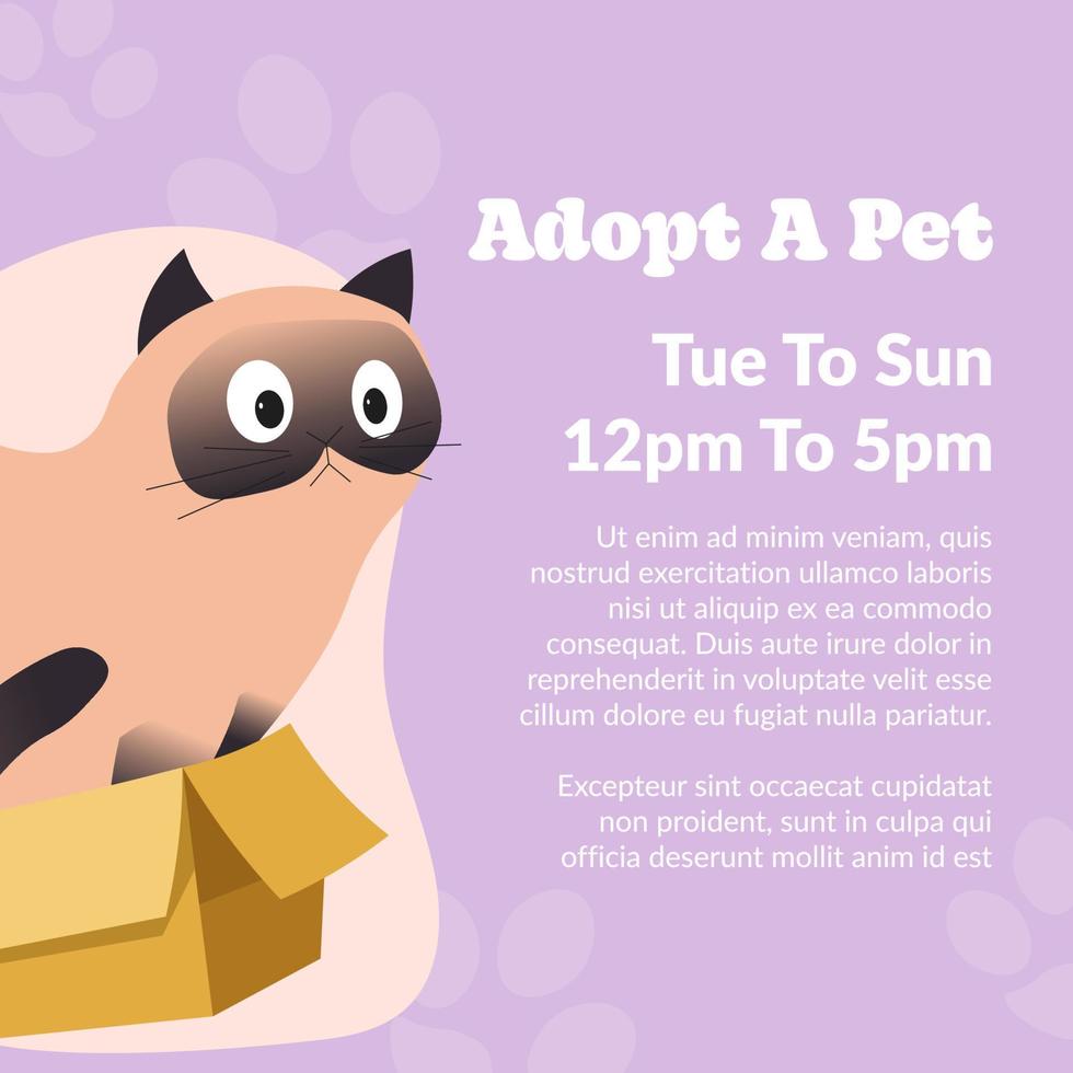 Adopt pet, cute kitty feline animal adoption care vector