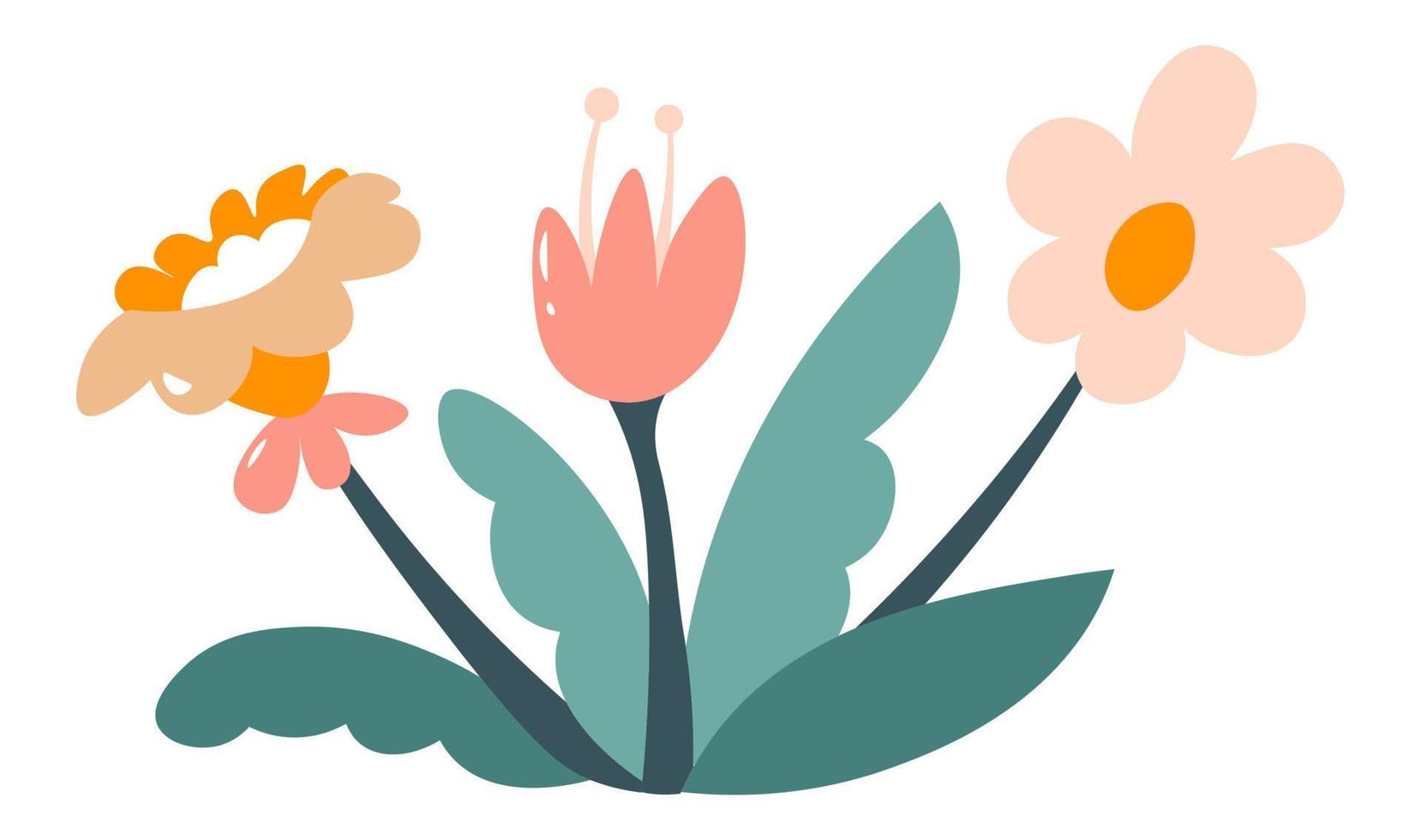 Flower bouquet in bloom, blossom of spring flora vector