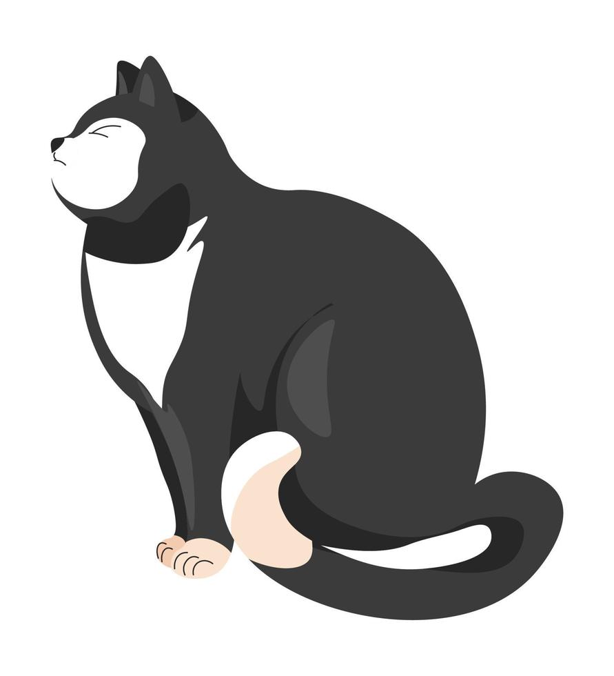 retrato de gato, perfil de personaje de gatito de gatito vector