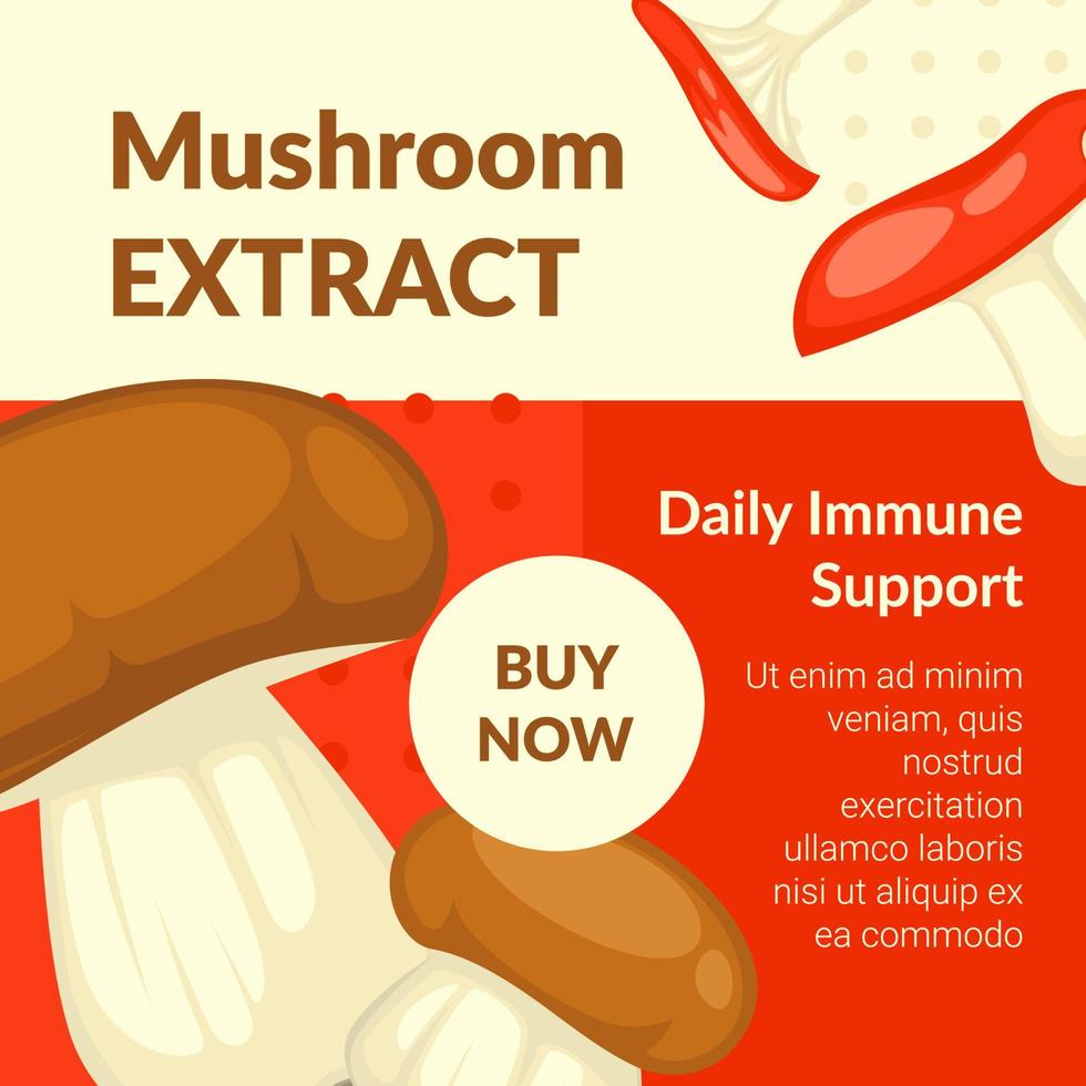 Mushroom extract, daily immune support banner vector