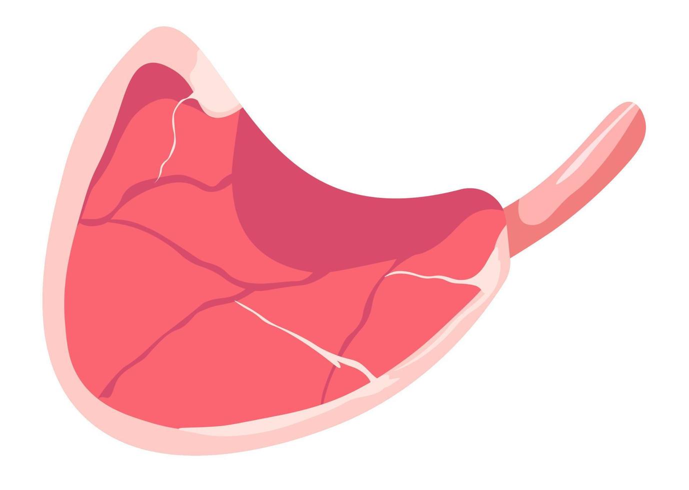 Pork slice of meat, barbeque and grilling vector