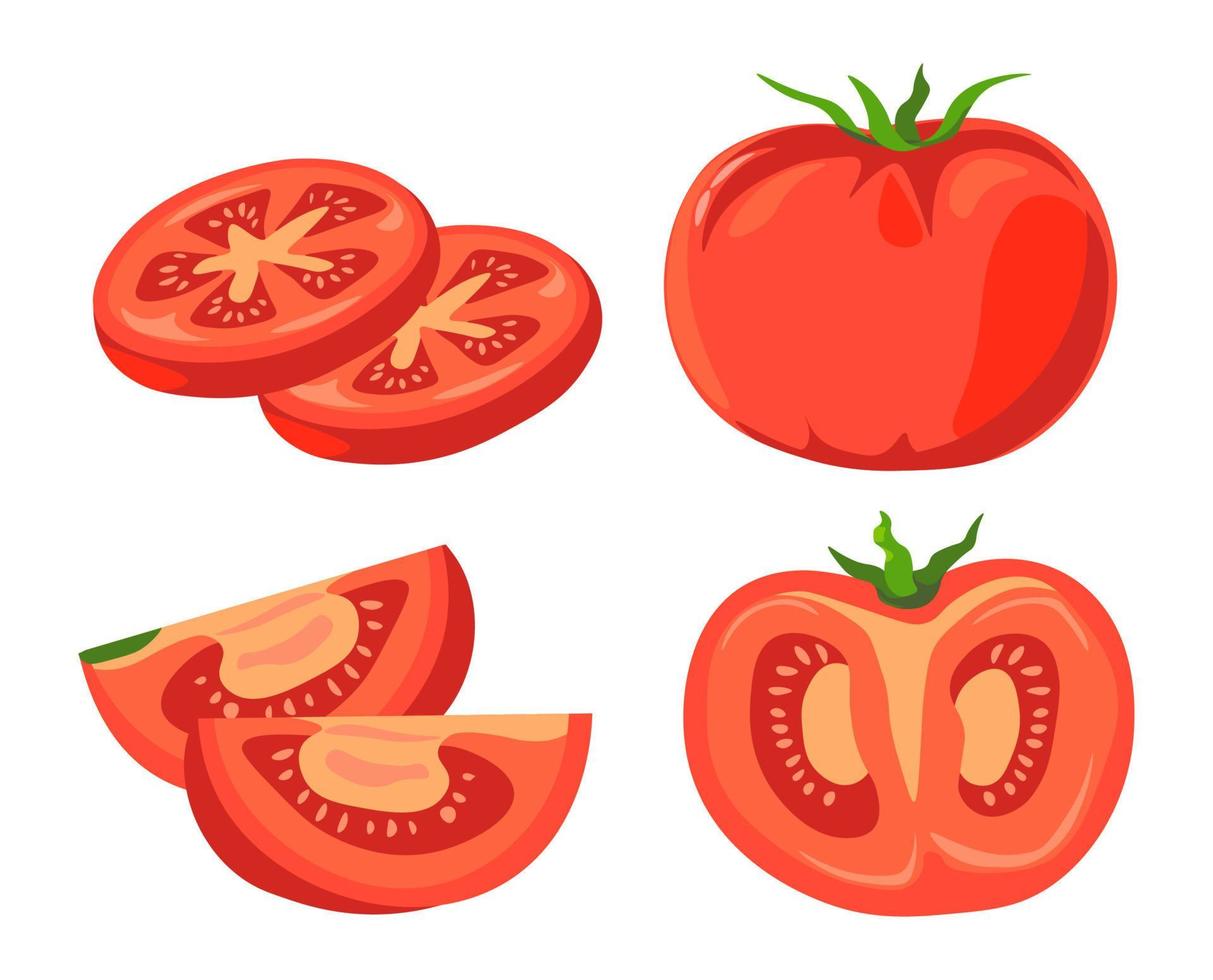 Organic ripe tomato sliced vegetable vector set