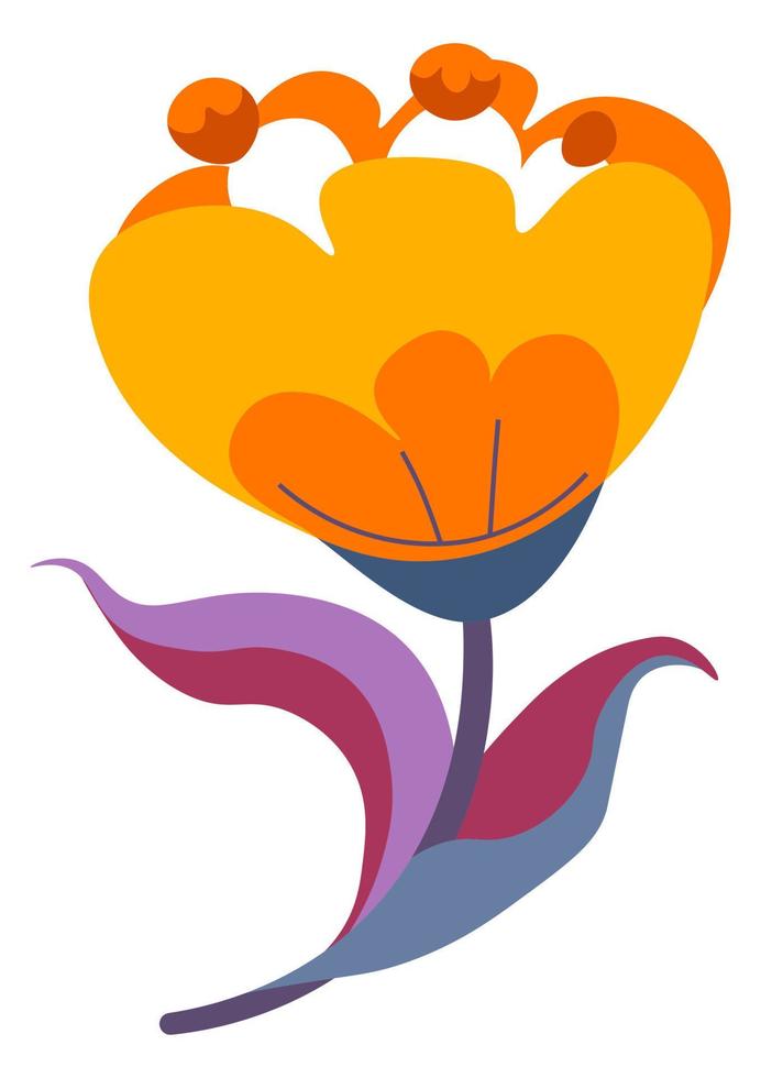 Blooming wildflower with stem and leaves botany vector