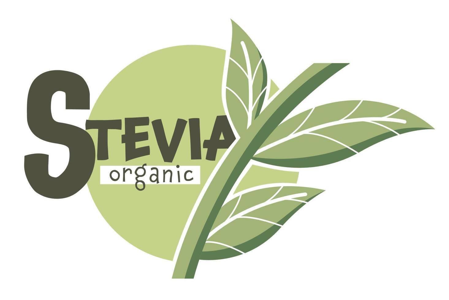 Stevia organic sweetener for diabetic people vector