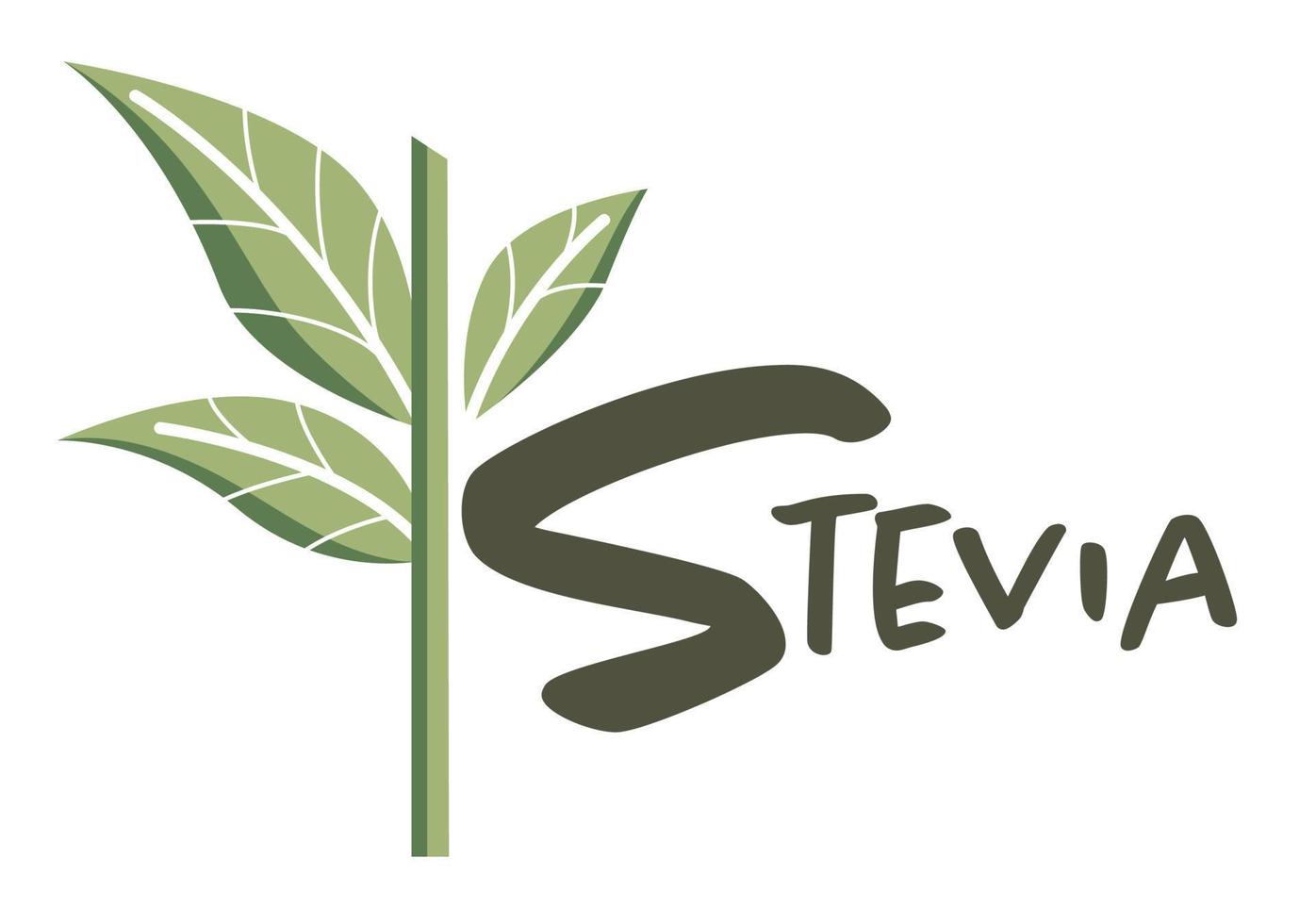 Stevia sweetener, organic substitute of sugar vector