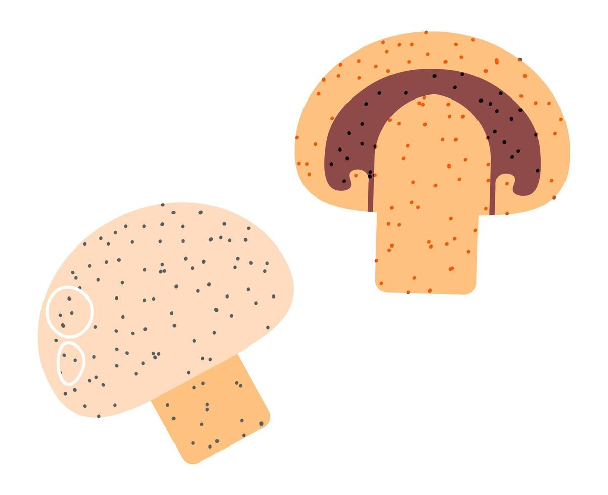 Mushrooms vegetables, organic natural veggies vector