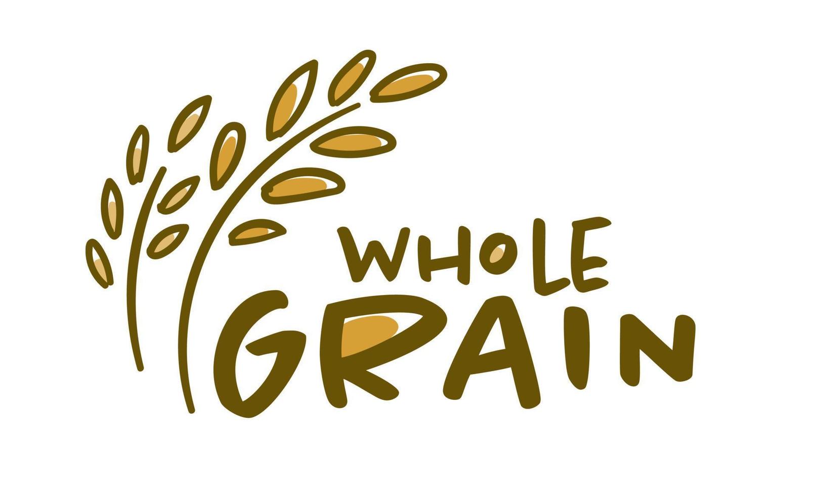 Whole grain logo, wheat spikelet product emblem vector