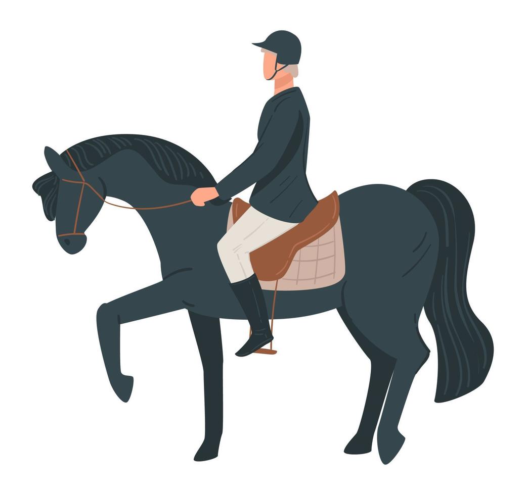 Professional jockey on horseback, man in saddle vector