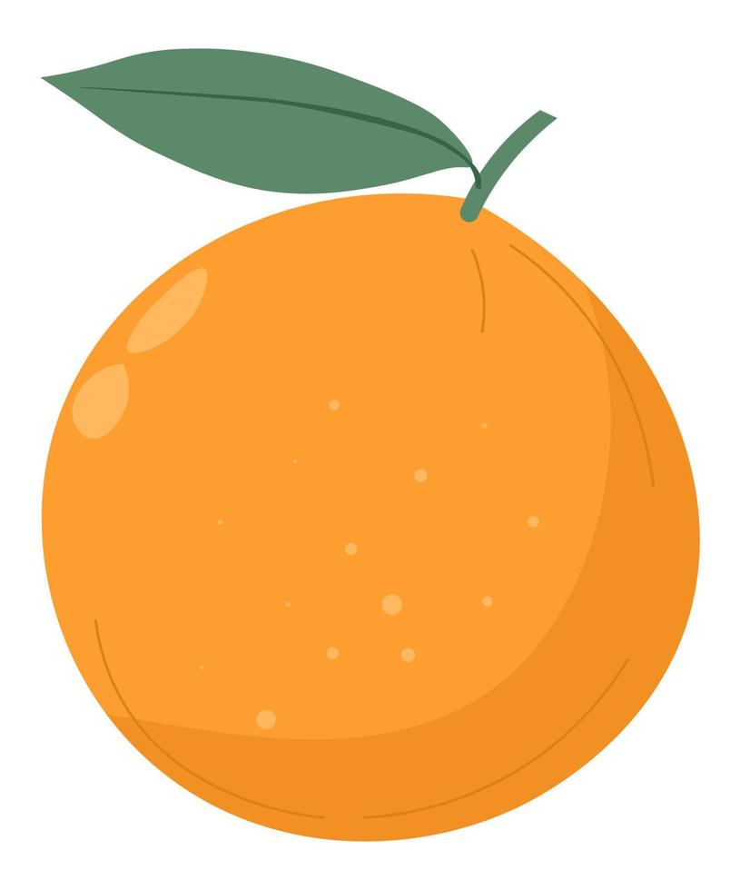 fruta naranja con hoja, vector cítrico orgánico