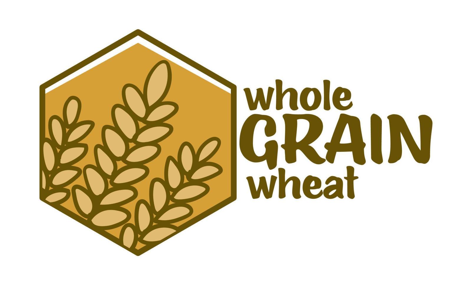 Whole grain wheat, agriculture logo icon vector