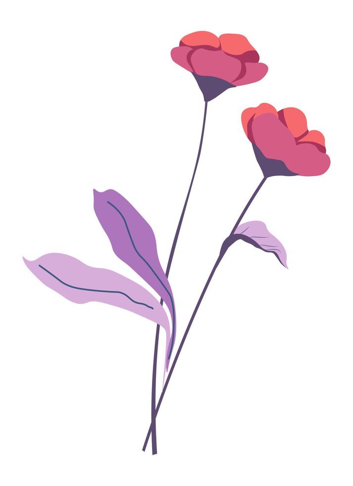 Blooming flower bouquet, flourishing plant twigs vector