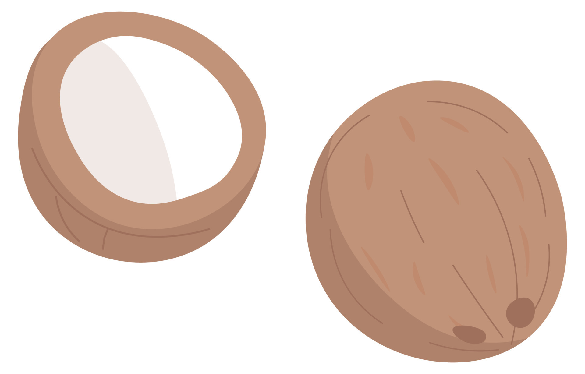 Coconut nut, exotic and tropical products vector 17739789 Vector Art at