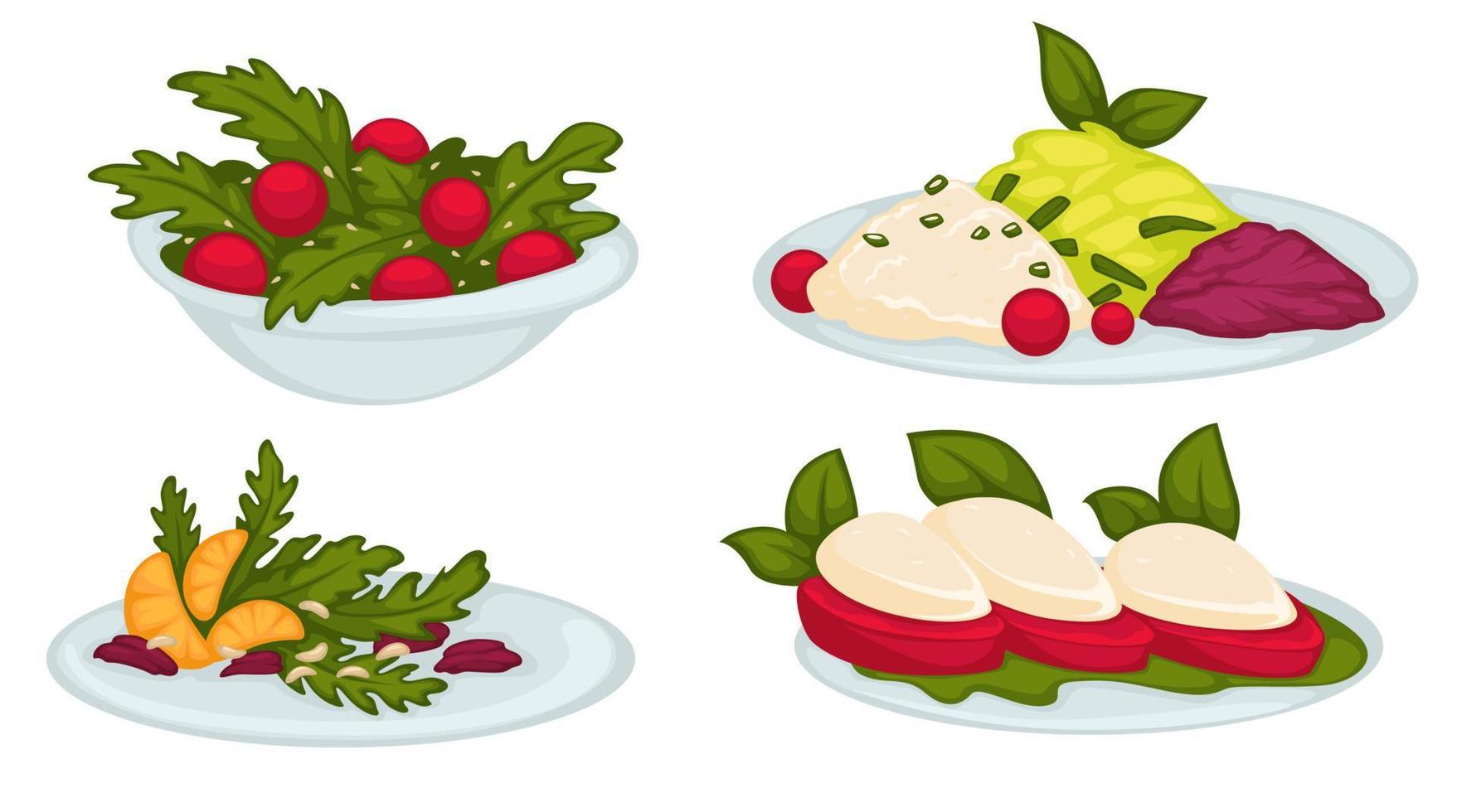 Salads with tomato and cheese, citrus and leaves vector