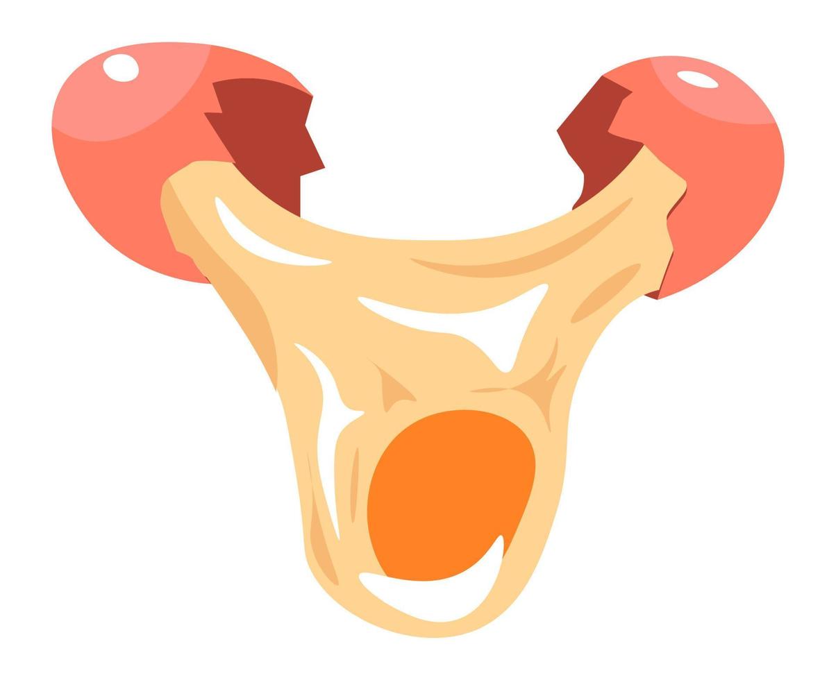 Pelvic Bone Vector Art, Icons, and Graphics for Free Download