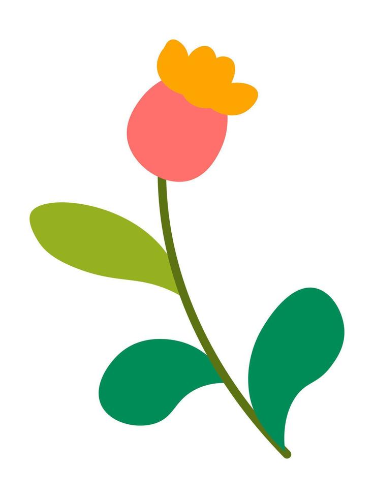 Blooming flower with stem and foliage, leaves vector