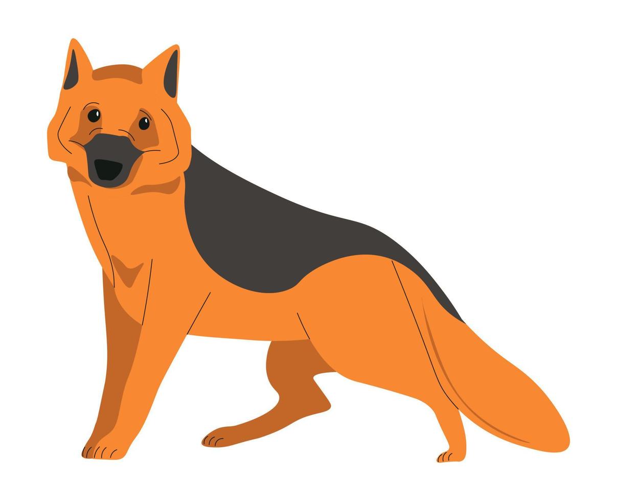 raza de animal pastor alemán, mascotas de perro canino vector