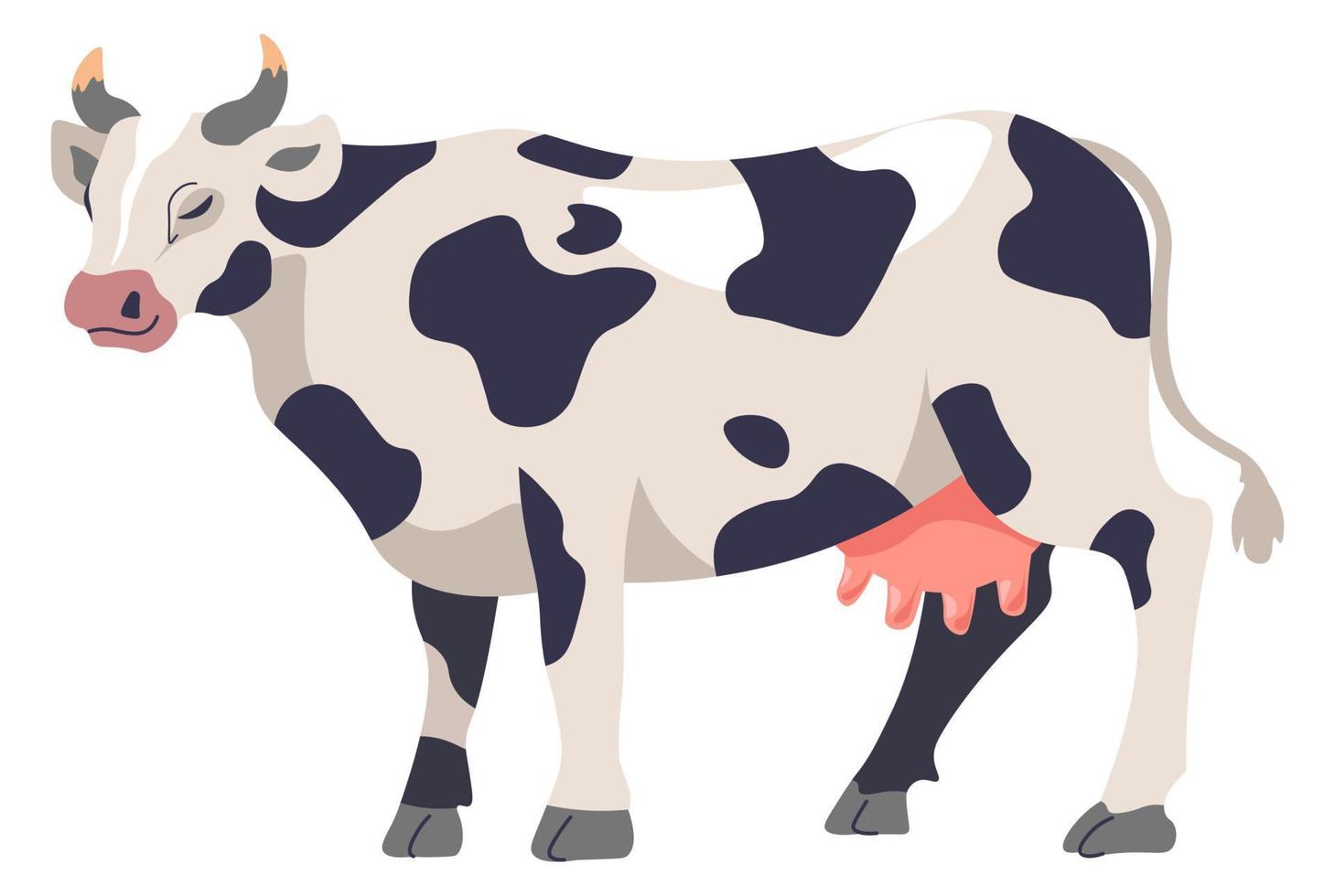 Cow cattle, farming and agriculture, breeding vector