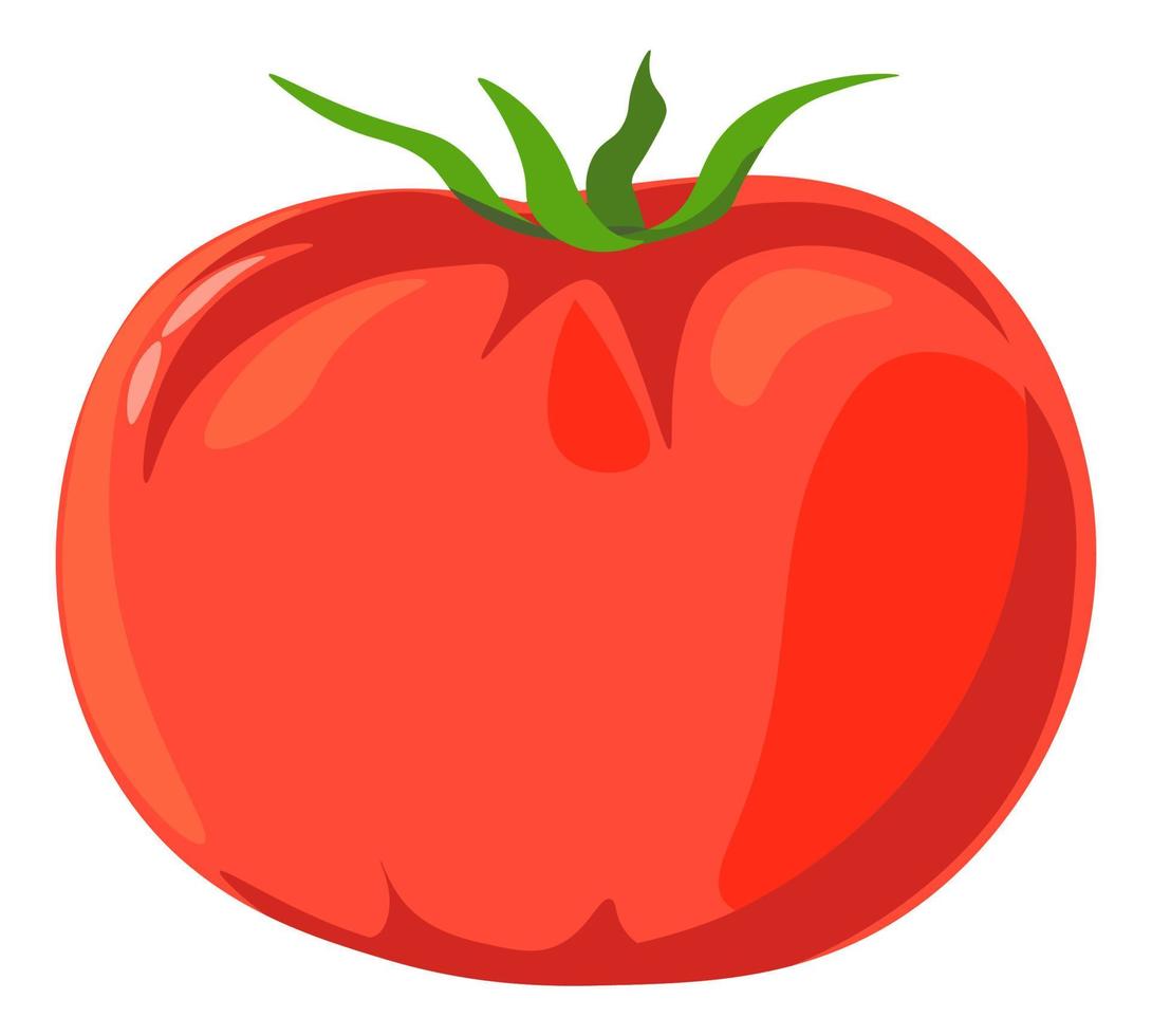 Tomato ripe vegetable with leaf, healthy food vector