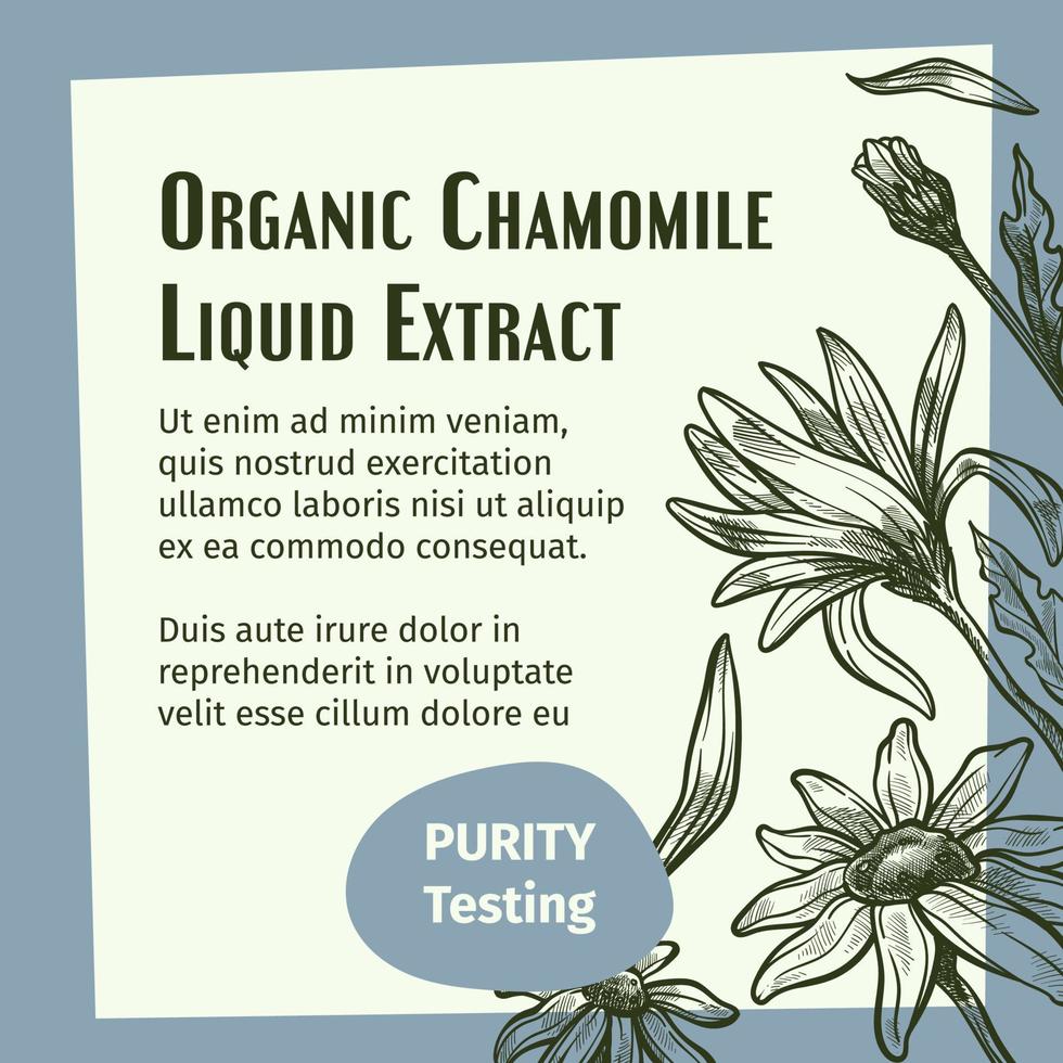 Organic chamomile liquid extract, purity testing vector