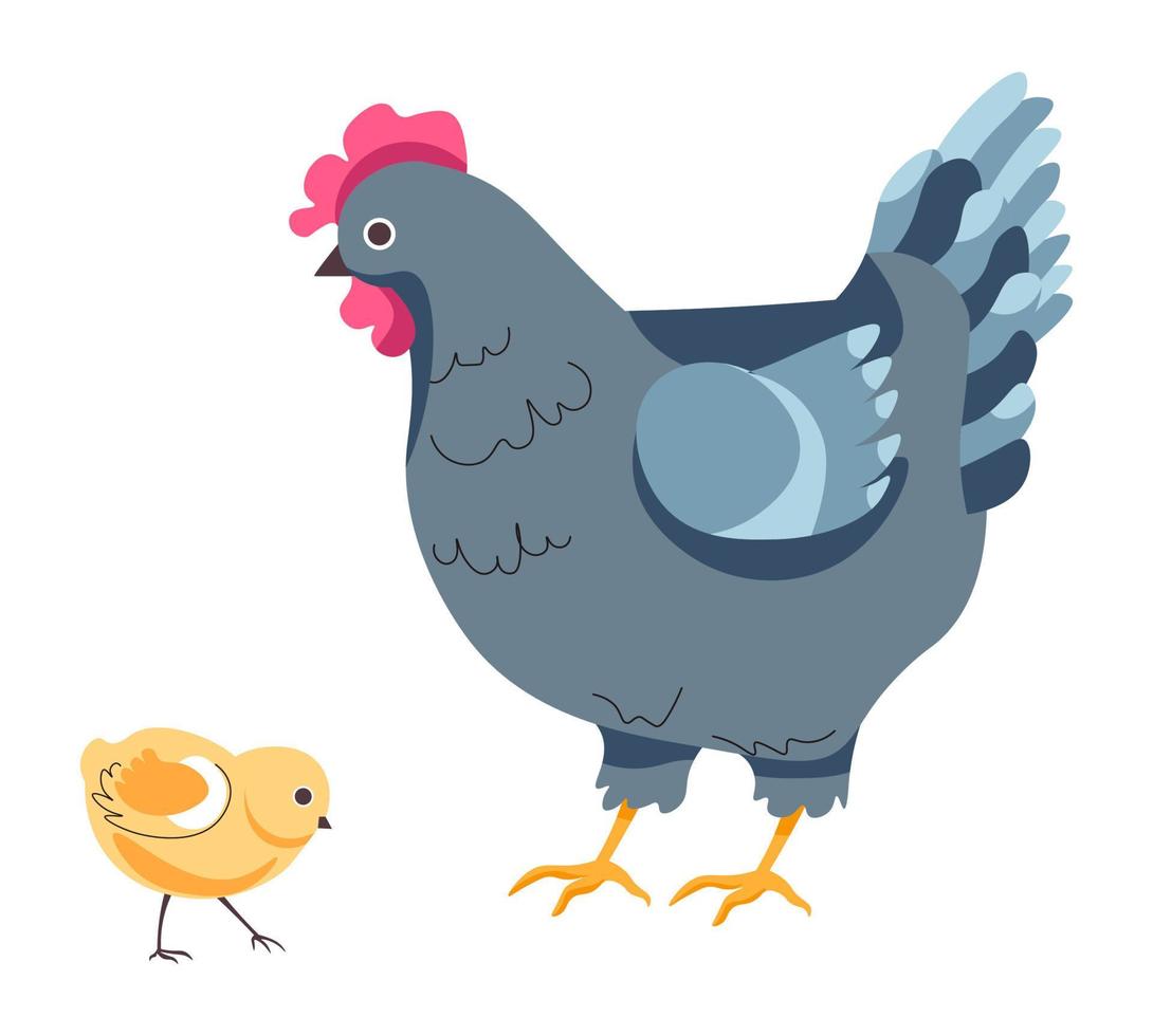 Hen and small chick, chicken breeding on farm vector