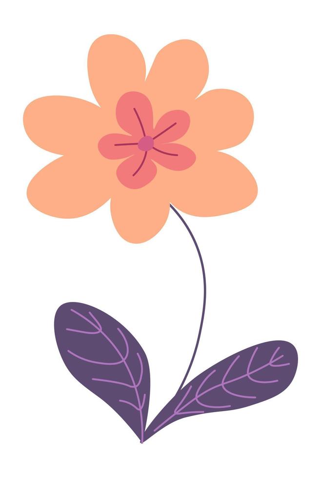 Blooming flower with stem and leave, bouquets vector