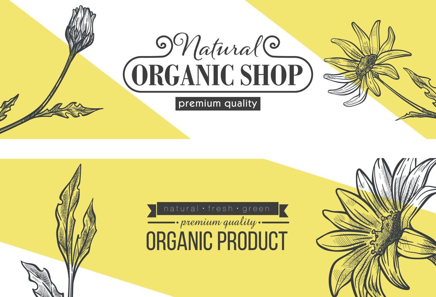 Organic shop advertisement banners, store ads vector