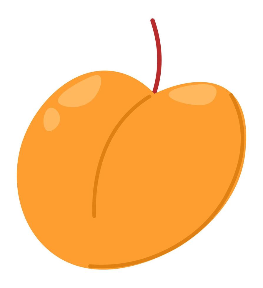 Sweet peach fruit, ripe apricot or nectarines vector