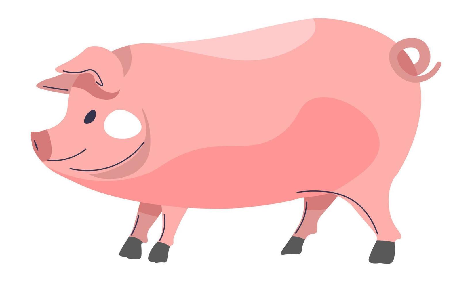Pig livestock domestic animal, farming agriculture vector
