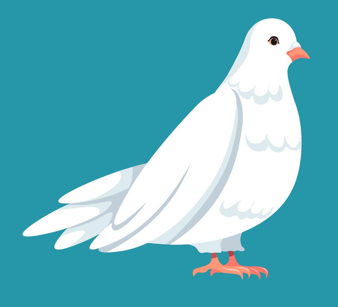 Dove with lush feathered wings, pigeon bird vector