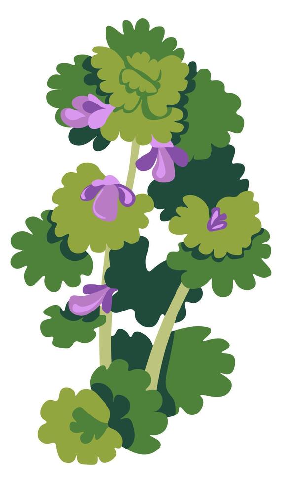 Shrubs of blooming flower, grass with foliage vector