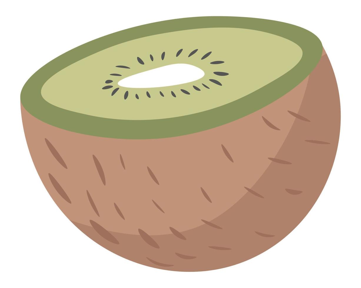 Kiwi slice, tropical and exotic fruits and berries vector