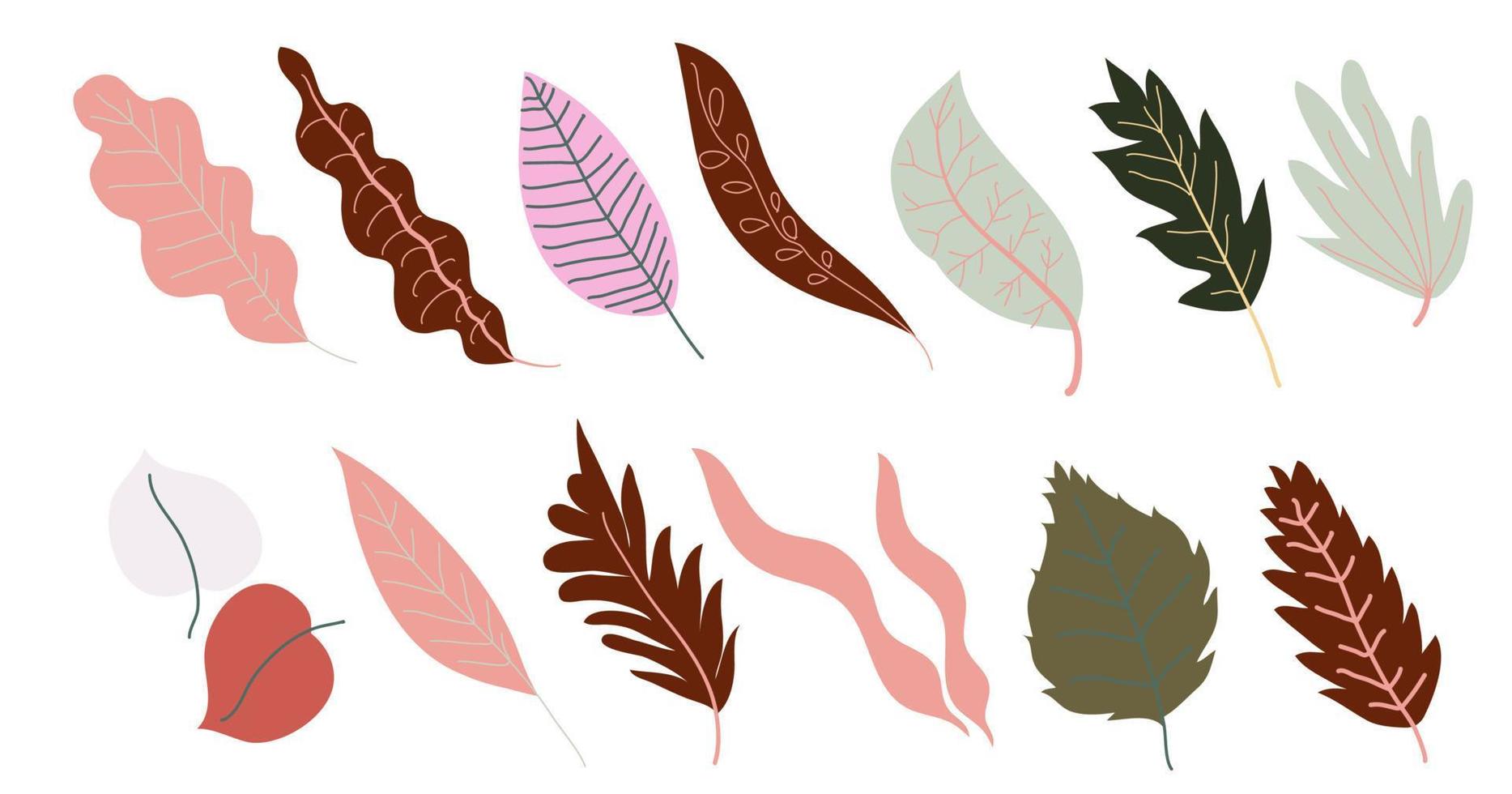 Autumn leaves, foliage and branches leafage vector