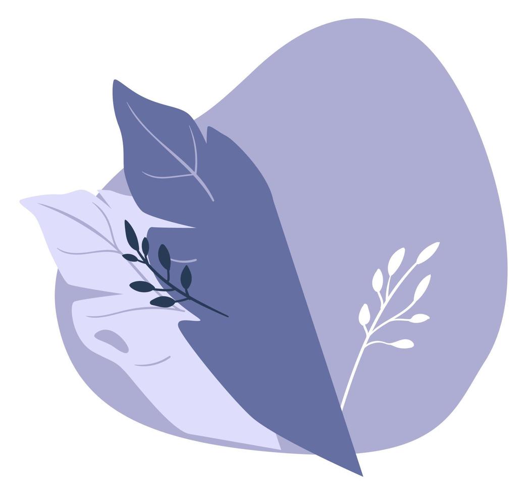 Decorative foliage, botany and flora leaves vector