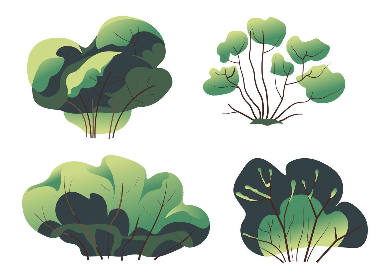Bush or plant with foliage and branches in park vector