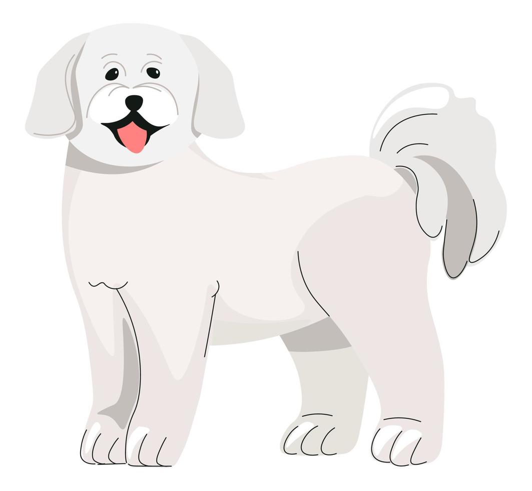 Poodle puppy, small dog canine animal pets vector