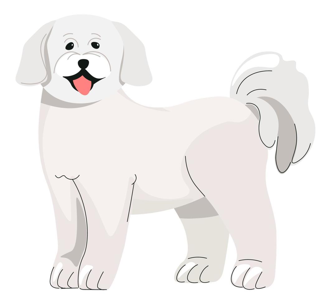 cachorro de caniche, vector de mascotas de animales caninos de perro pequeño