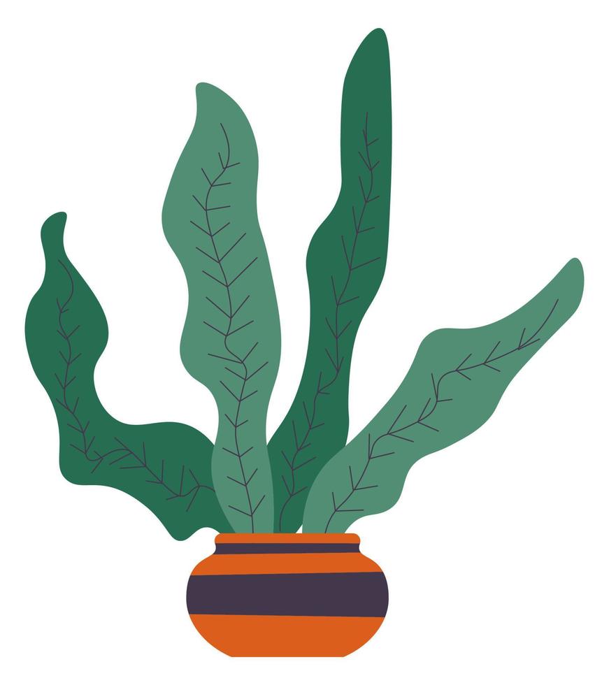 Leafy plant in pot, decoration for home interior vector