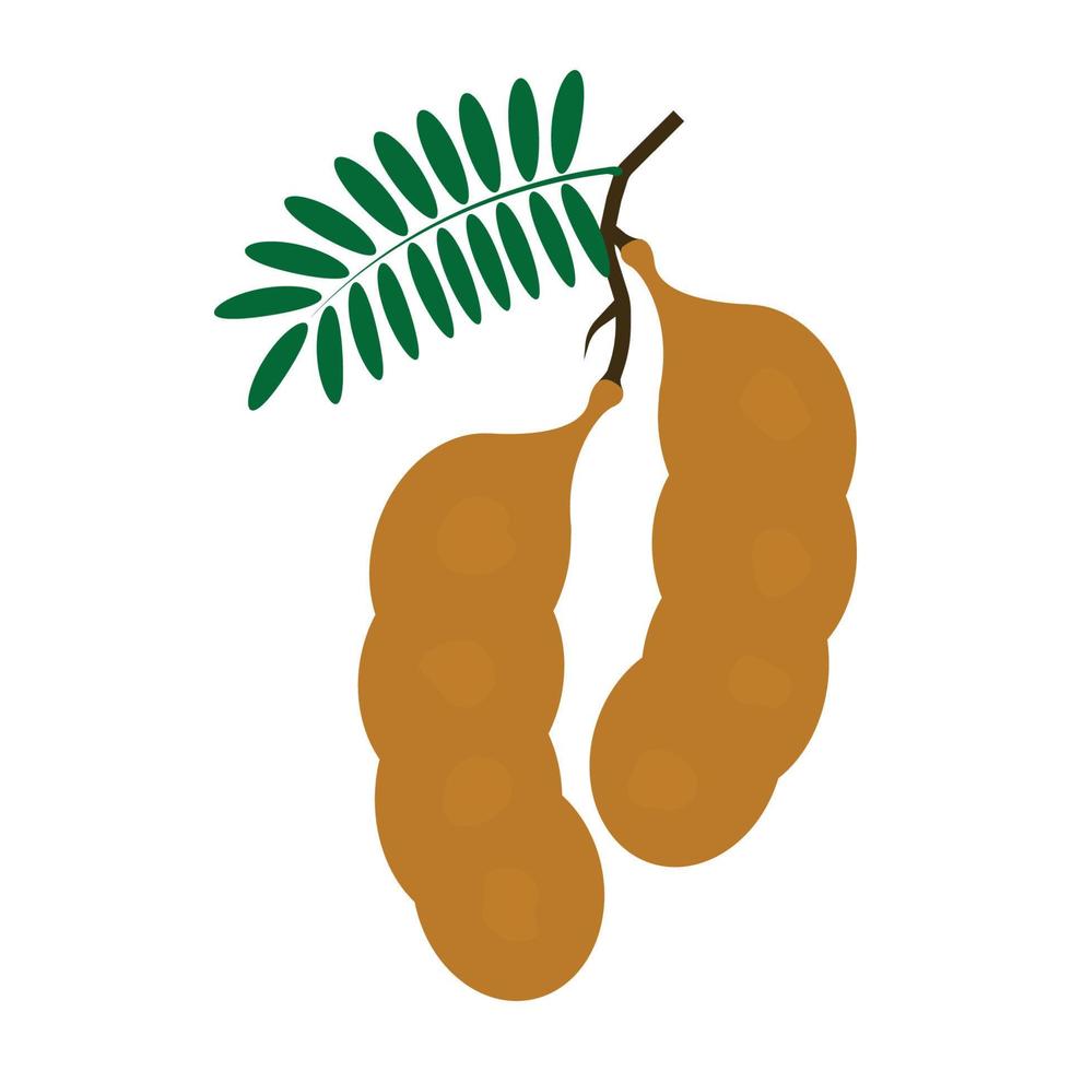 plantilla de vector de icono de logotipo de tamarindo