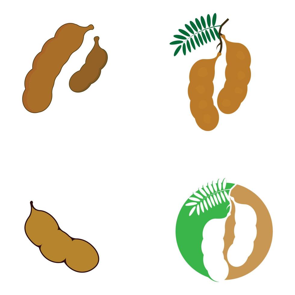 plantilla de vector de icono de logotipo de tamarindo