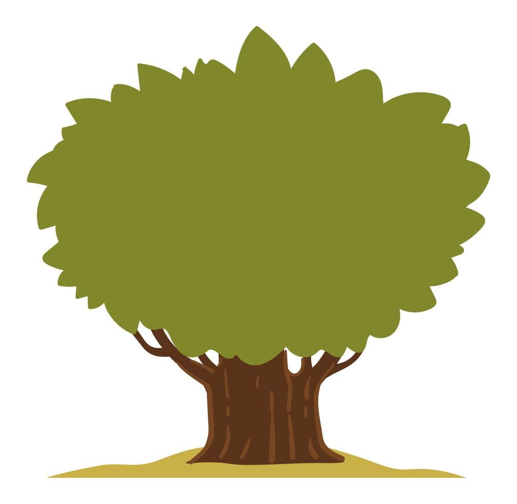 Tree with lush foliage and big trunk in parks vector