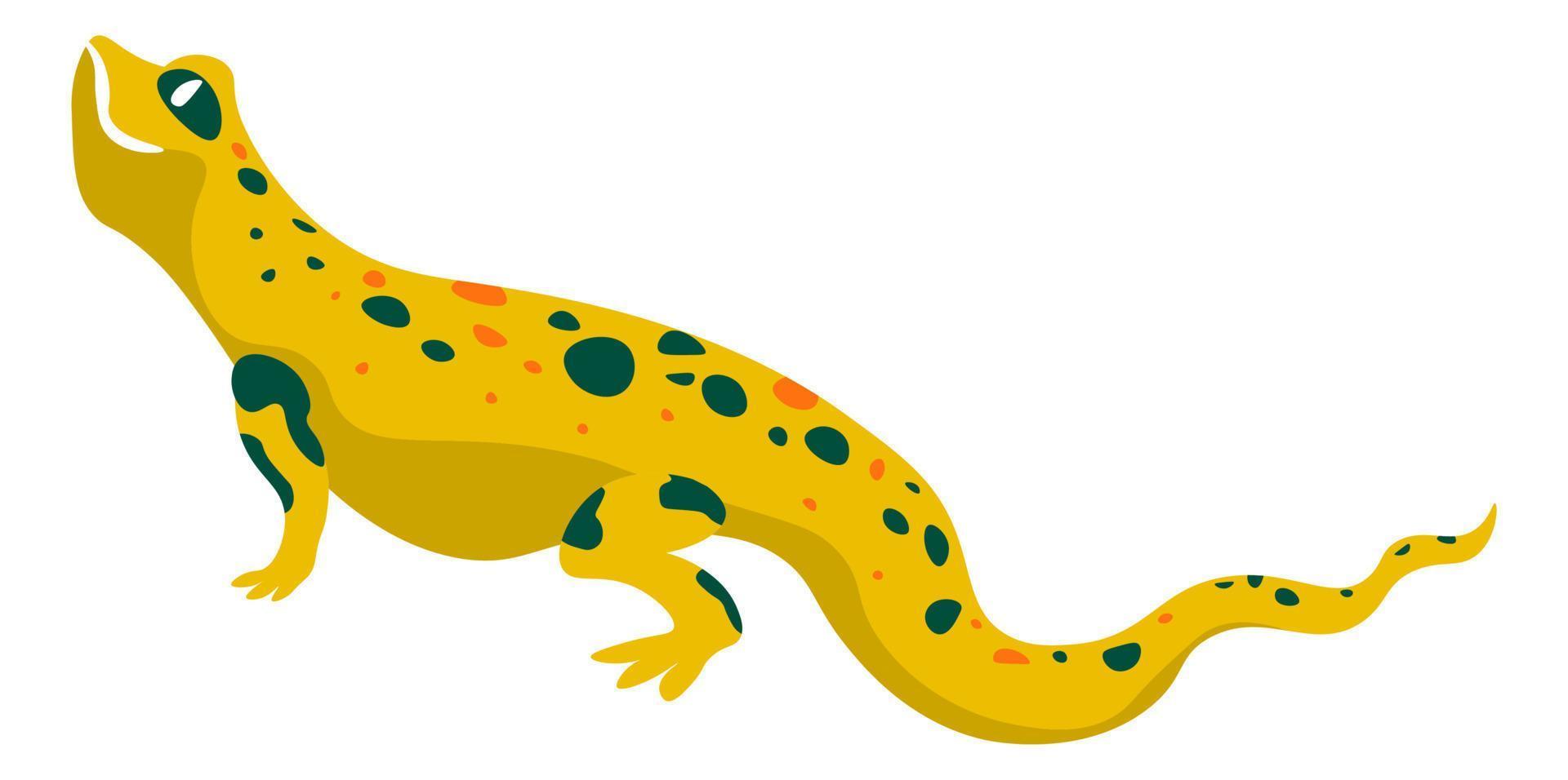 Salamander reptile animal, wildlife exotic fauna vector