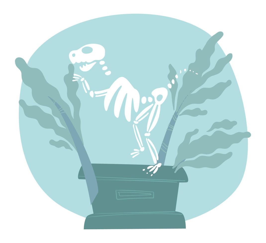 huesos y esqueletos de dinosaurios en el museo natural vector