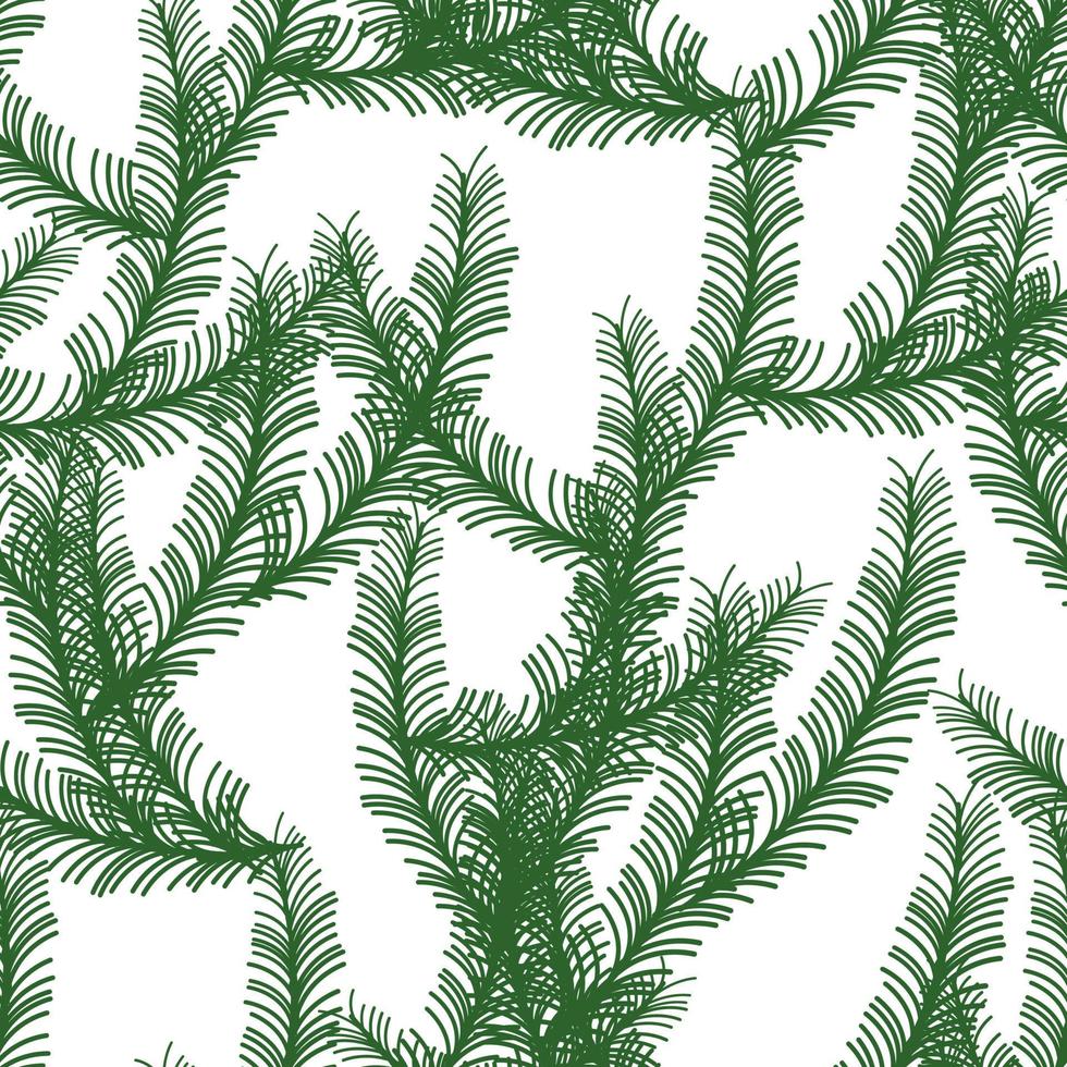 Pine tree branches, fir twigs christmas print vector