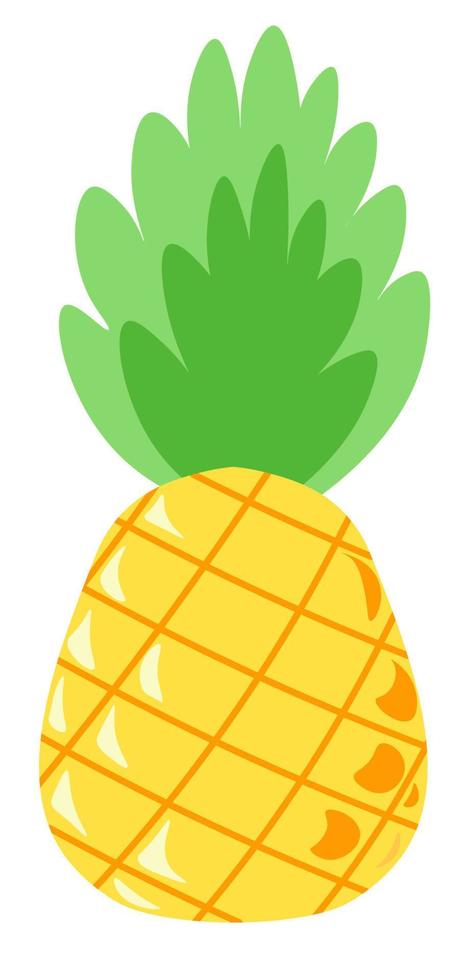 Pineapple tasty tropical and exotic fruit leaf vector