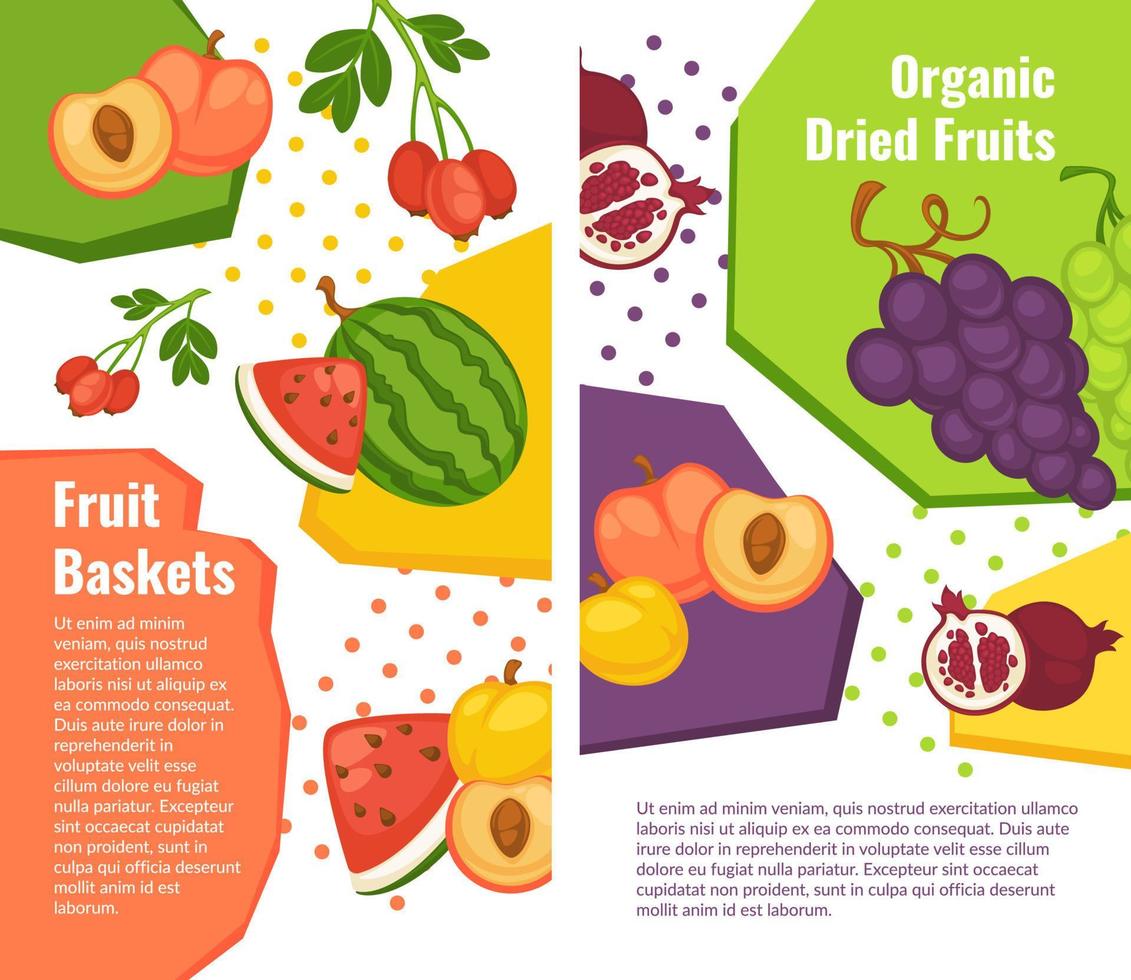 cesta de frutas orgánicas, vector de melocotón y uvas