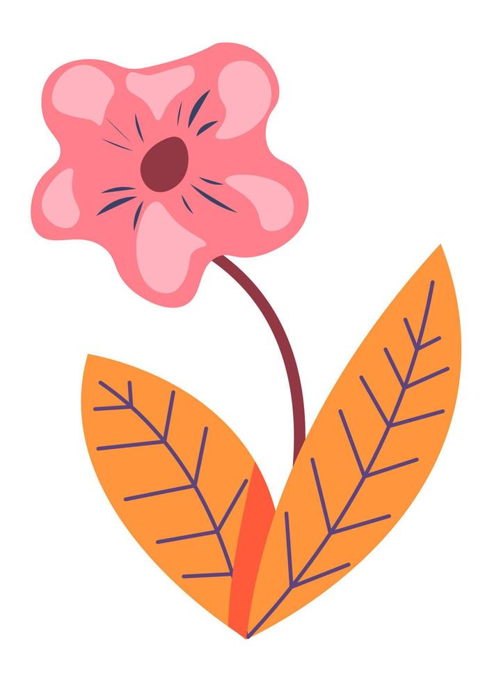 Flower in blossom, wildflower flourishing vector