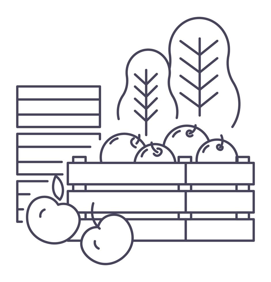 Gathered apples in basket, harvesting season farm vector