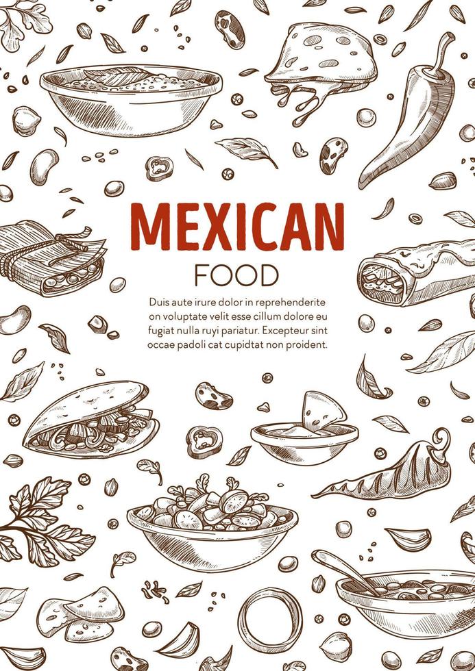 vector de menú de comida mexicana, burrito y platos picantes