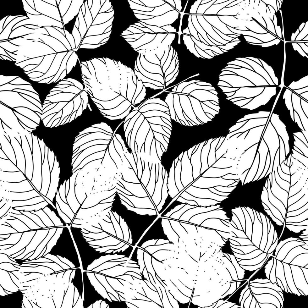 Leaves and foliage on branches, twigs and flora vector